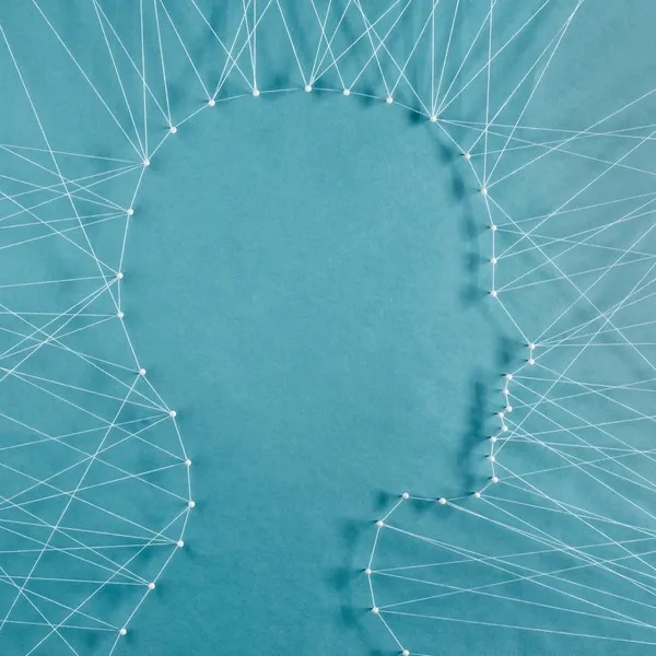 Imagen de WhatsApp 2025-02-13 a las 15.00.52_86c0240d